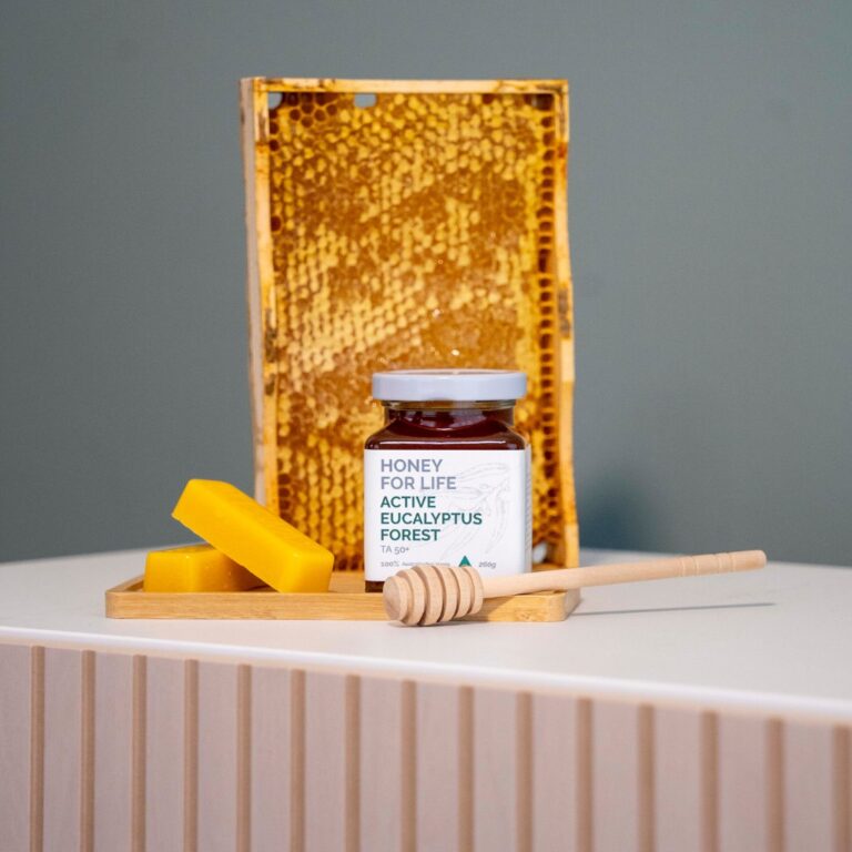 Active Eucalyptus Forest TA 50